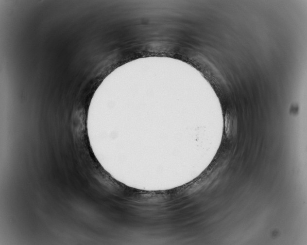 X0000103431107200810241052