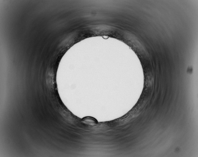 X0000103431108200810241052