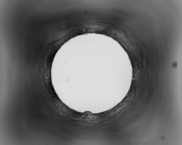 X0000103431109200810241052