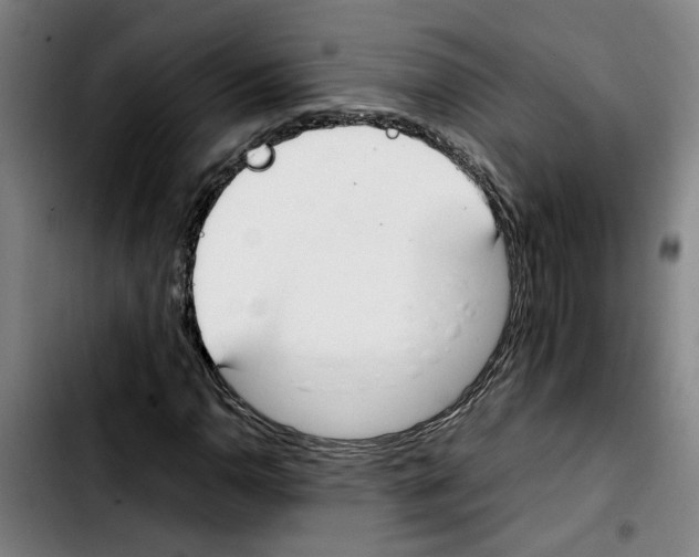 X0000103431110200810241052