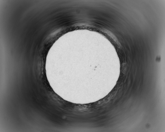 X0000103431111200810241052