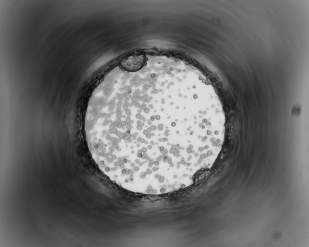 X0000103431112200810241052