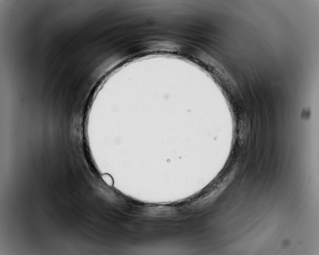 X0000103431113200810241052