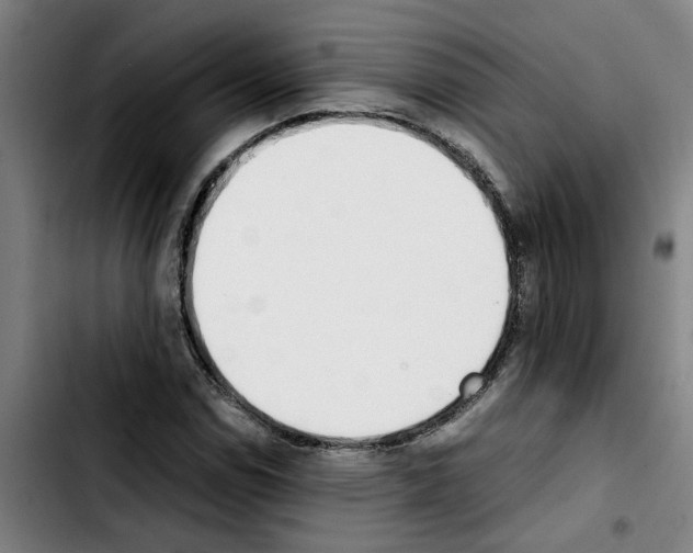 X0000103431114200810241052