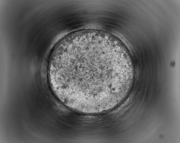 X0000103431115200810241052