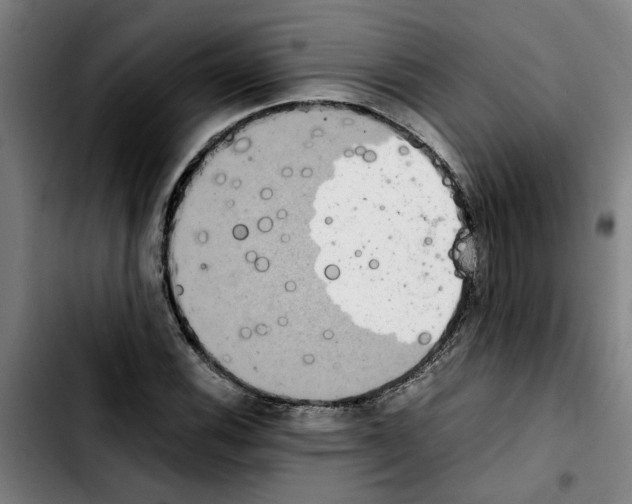 X0000103431116200810241052