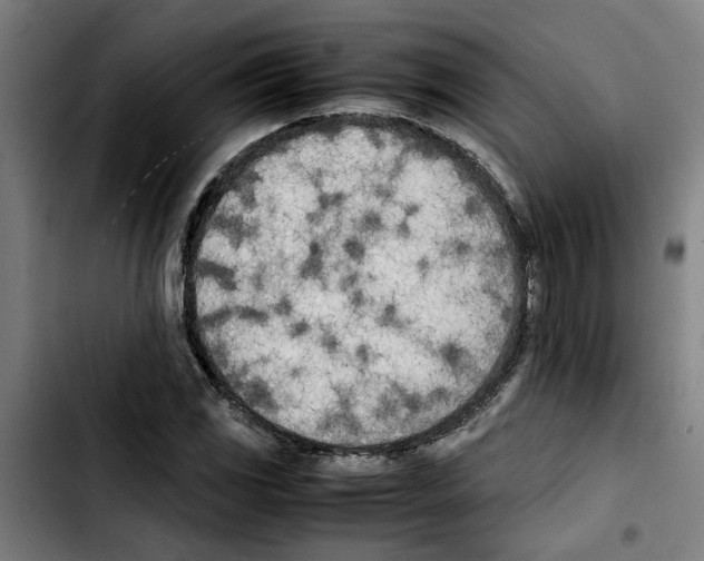 X0000103431117200810241052