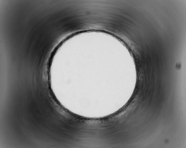 X0000103431118200810241052
