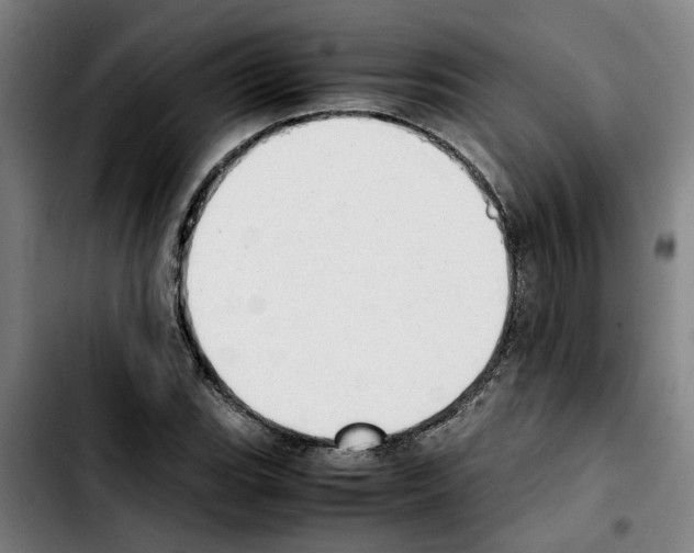 X0000103431119200810241052