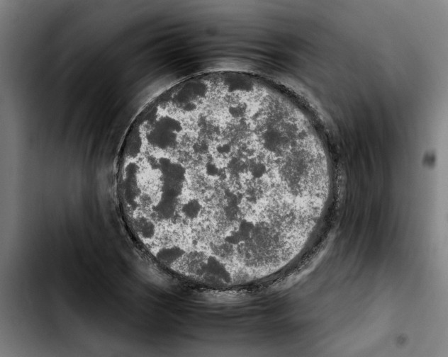 X0000103431121200810241052