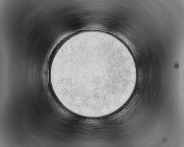 X0000103431123200810241052