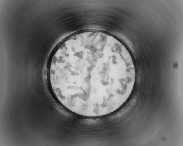 X0000103431125200810241052