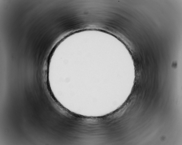 X0000103431126200810241052