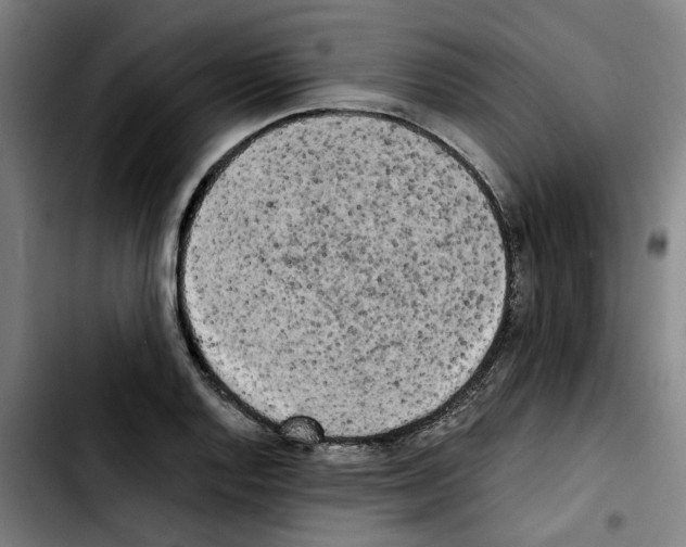X0000103431128200810241052