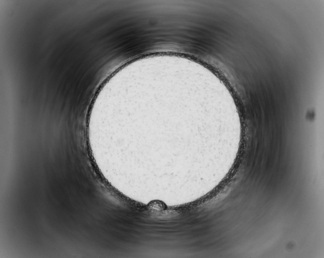 X0000103431129200810241052