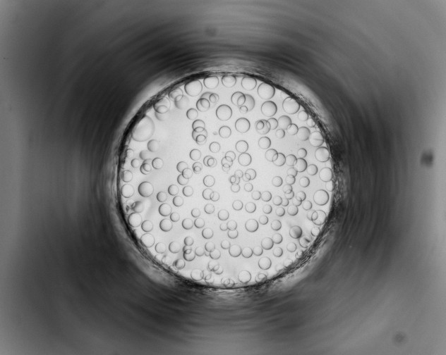 X0000103431130200810241052