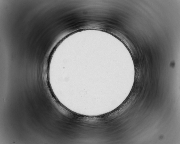 X0000103431131200810241052