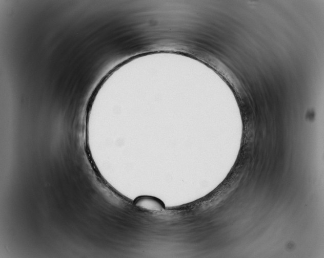 X0000103431132200810241052