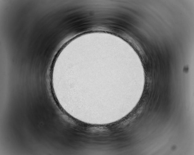 X0000103431133200810241052