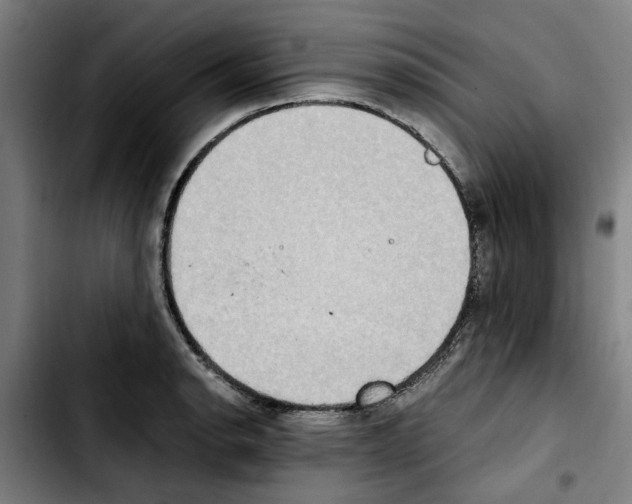 X0000103431134200810241052