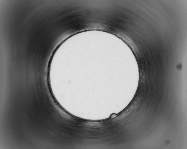 X0000103431135200810241052