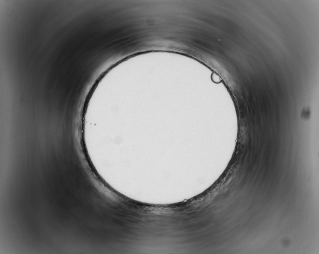 X0000103431136200810241052