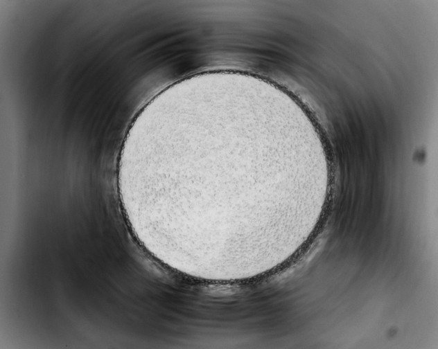 X0000103431137200810241052
