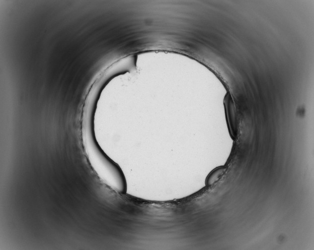 X0000103431138200810241052