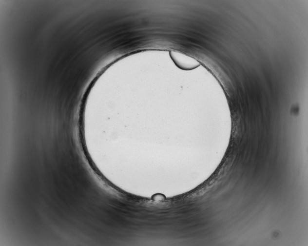 X0000103431139200810241052