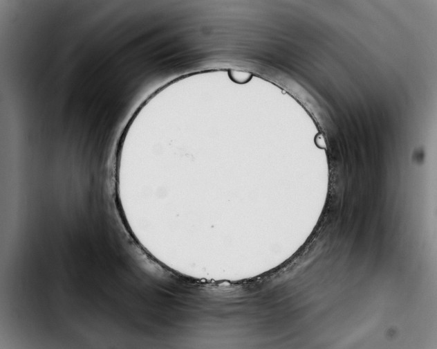 X0000103431140200810241052