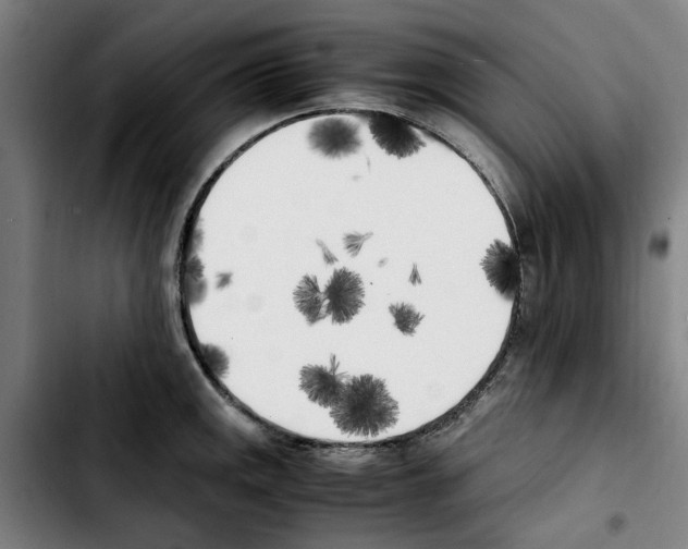 X0000103431141200810241052