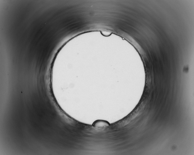 X0000103431144200810241052