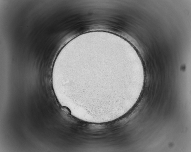 X0000103431145200810241052