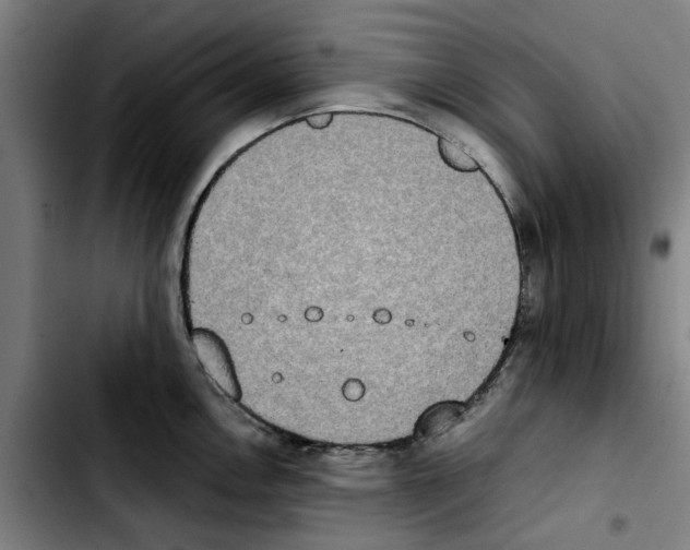 X0000103431146200810241052