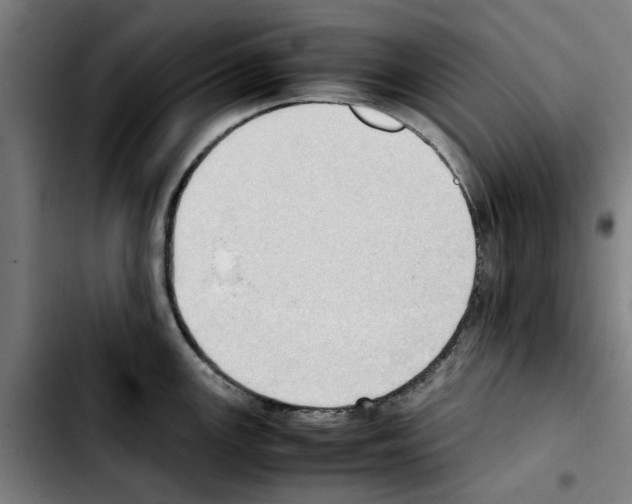 X0000103431147200810241052