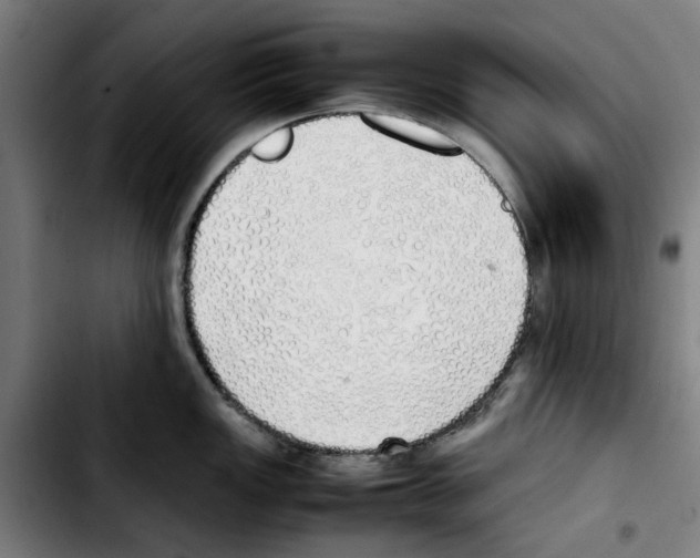 X0000103431149200810241052