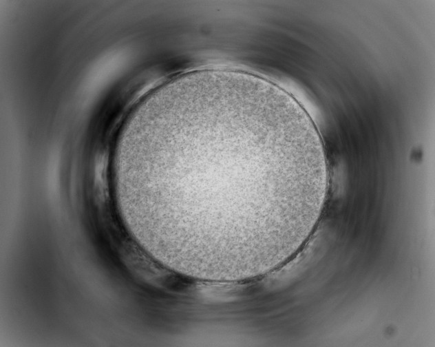 X0000103431150200810241052