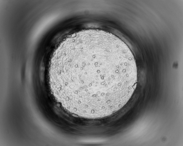 X0000103431151200810241052