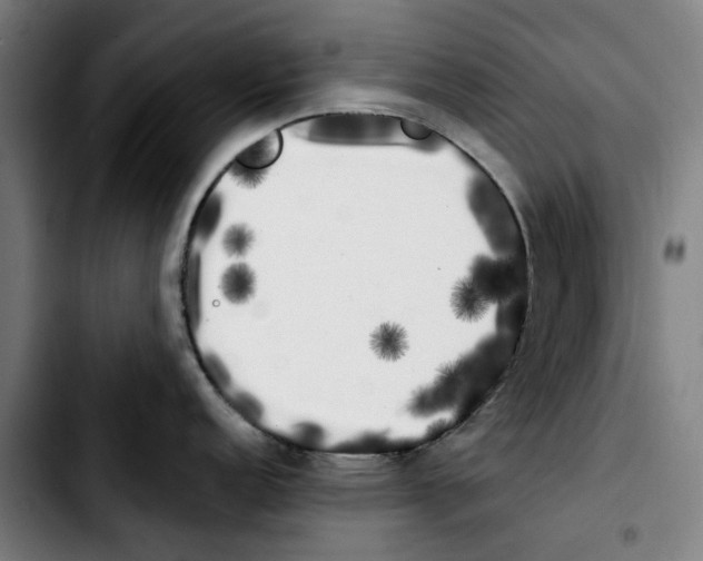 X0000103431152200810241052