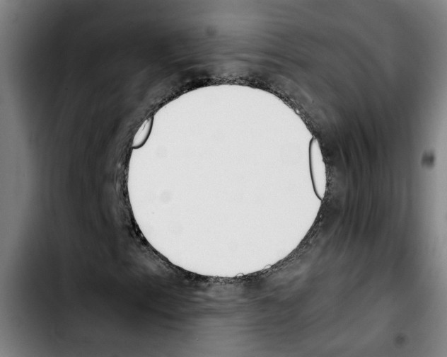 X0000103431153200810241052