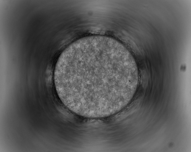 X0000103431154200810241052