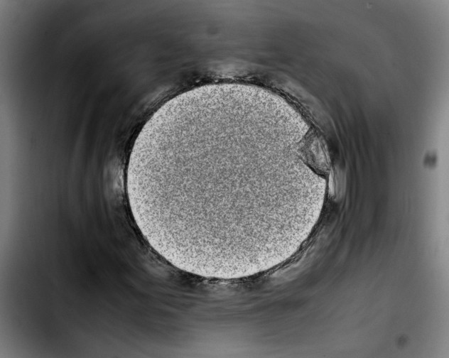 X0000103431155200810241052