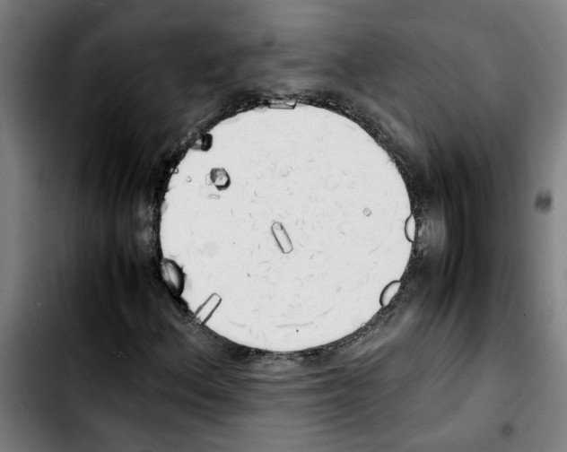 X0000103431156200810241052