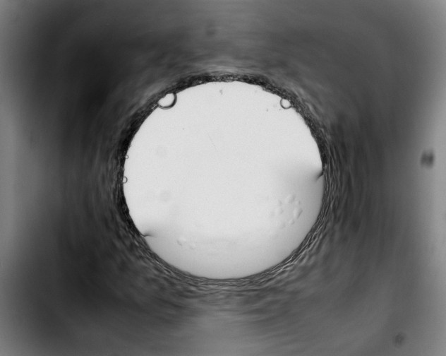 X0000103431157200810241052