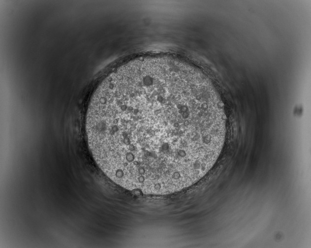 X0000103431158200810241052