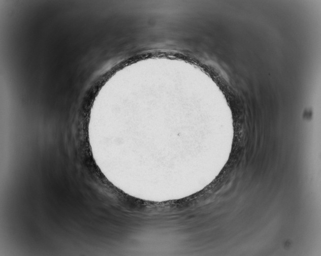 X0000103431159200810241052