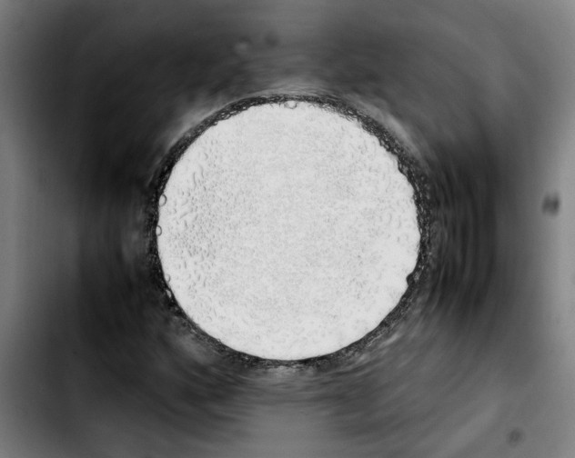 X0000103431160200810241052