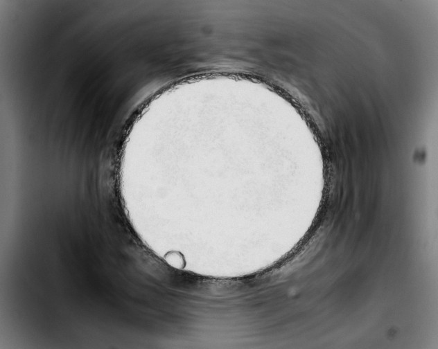 X0000103431163200810241051
