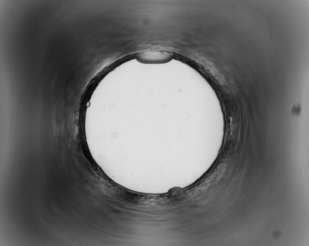 X0000103431165200810241051