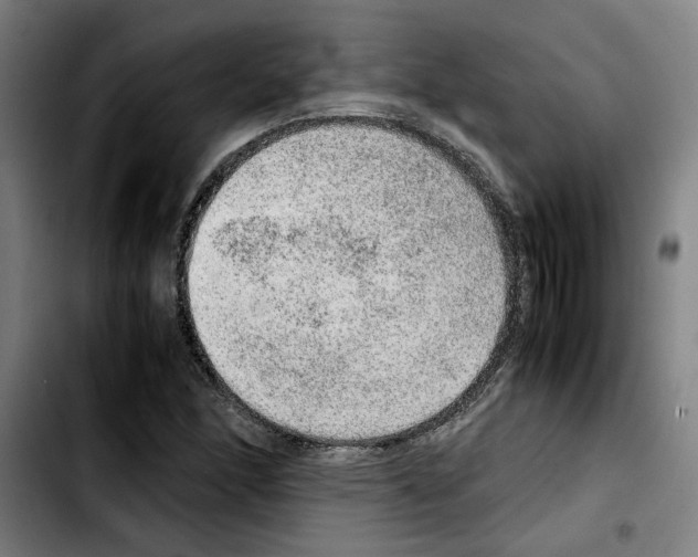 X0000103431166200810241051